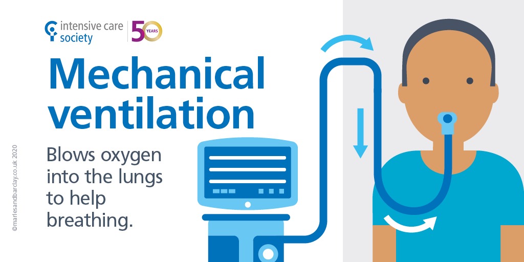 A graphic showing that mechanical ventilation blows oxygen into the lungs to help breathing