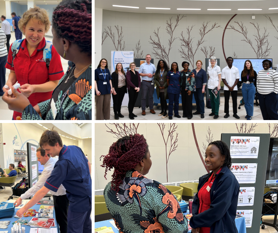 A photo collage from the EDI in Healthcare and Research event held on 28 March at Royal Papworth. The images show attendees receiving explanations about EDI in research, collecting informational folders, and posing for a group photo